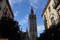 giralda3.jpg