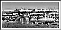 tren8.jpg