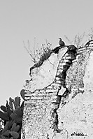 01042011-puenteygandul-111.jpg