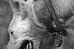 07012012-Monter_a-478-Editar.jpg