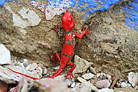 7D_20110130_9918paweb2.jpg