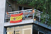 IMG_0008_Large_.JPG