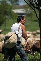 IMG_00572.JPG