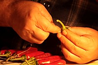 IMG_1140_2.jpg