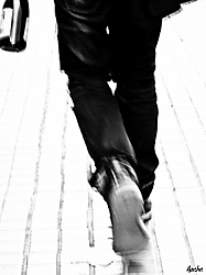 IMG_400111.jpg