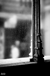 MG_3722-3.jpg