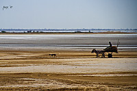 foto_14.jpg