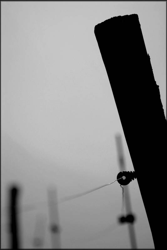 &quot;black and white&quot;