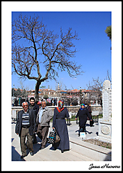 017-1.jpg