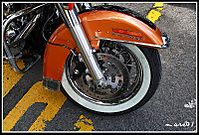 4535IMG_17_10_2009_2_Medium_.jpg