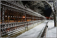 Adoratrices_Nevada_Nocturna.jpg