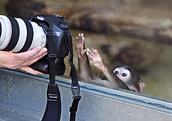 Fotografo_web.jpg