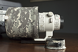 IMGL9724.jpg