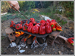 IMG_0278_Pimiento-asado.jpg