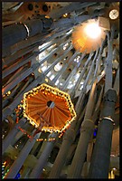 IMG_07765.JPG