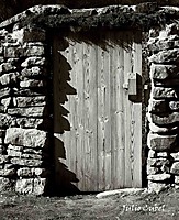IMG_1439_3.jpg