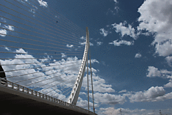 IMG_2670.gif