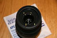 IMG_4150_Medium_.JPG
