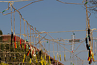 IMG_48703.jpg