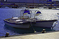 IMG_7104.jpg