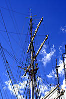 IMG_7157.jpg