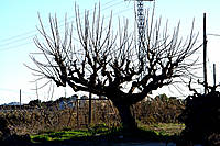 IMG_71801.jpg