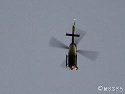 MG_118011.jpg