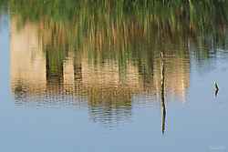 Reflejo_4-2.jpg