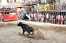 Salto-de-recortador.jpg