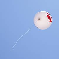 Volando Volando5.jpg