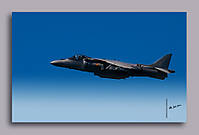 harrier-1_copy.jpg