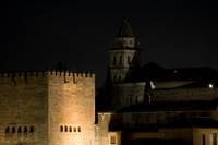 nocturnalhambra_900_x_600_.jpg