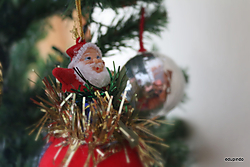 Papá Noel en árbol pap_no_l.JPG