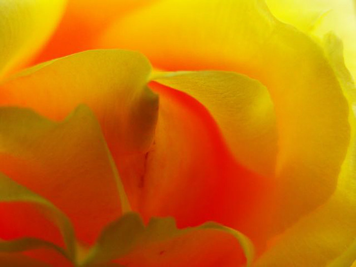 foto-2_640x480
