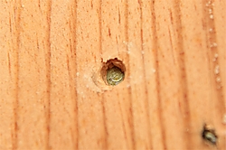 2013_02_28_1768.JPG