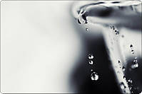 3269640105_549e932d1b_b.jpg