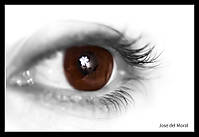 Brown_Eye.jpg