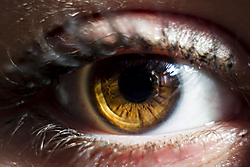Eyes1.jpg
