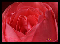 IMG_0019_copia_b.jpg