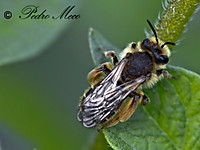 IMG_0091_2.jpg