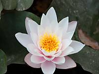 IMG_01961.jpg