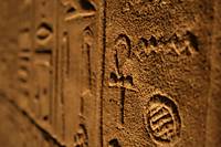 IMG_0427a.JPG