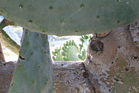 IMG_1131.gif