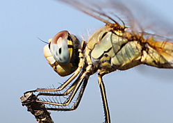 IMG_3058_editado-2.jpg