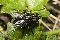 IMG_3776retr.jpg