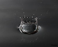IMG_39851.JPG