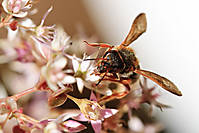 IMG_6000.jpg