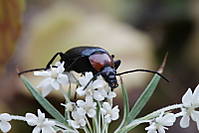 IMG_9914.jpg