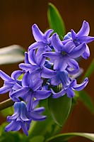 Imagen_085.jpg