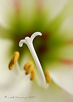 JR-ABRIL-24.jpg